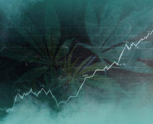 5 Cannabis Trends to Follow