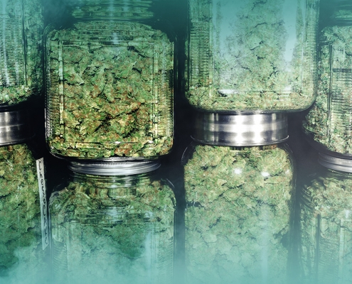6 Best Inbound Marketing Solutions for Small Cannabis Businesses